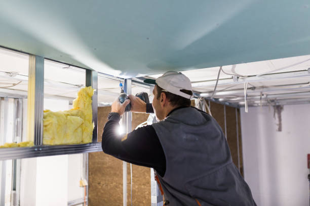 Best Insulation Contractors for Homes  in Lenwood, CA